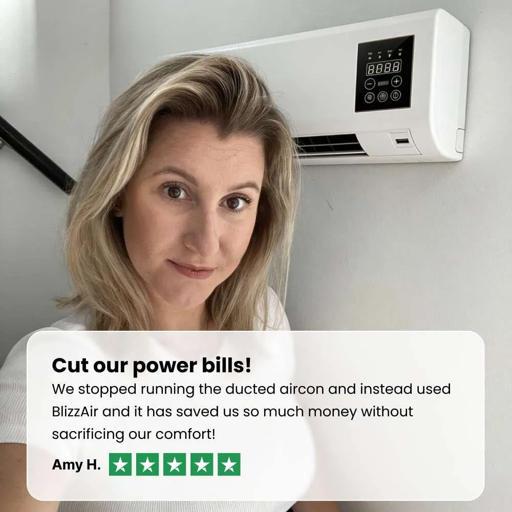 BlizzAir customer reviews